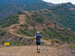 Catalina Island Half Marathon